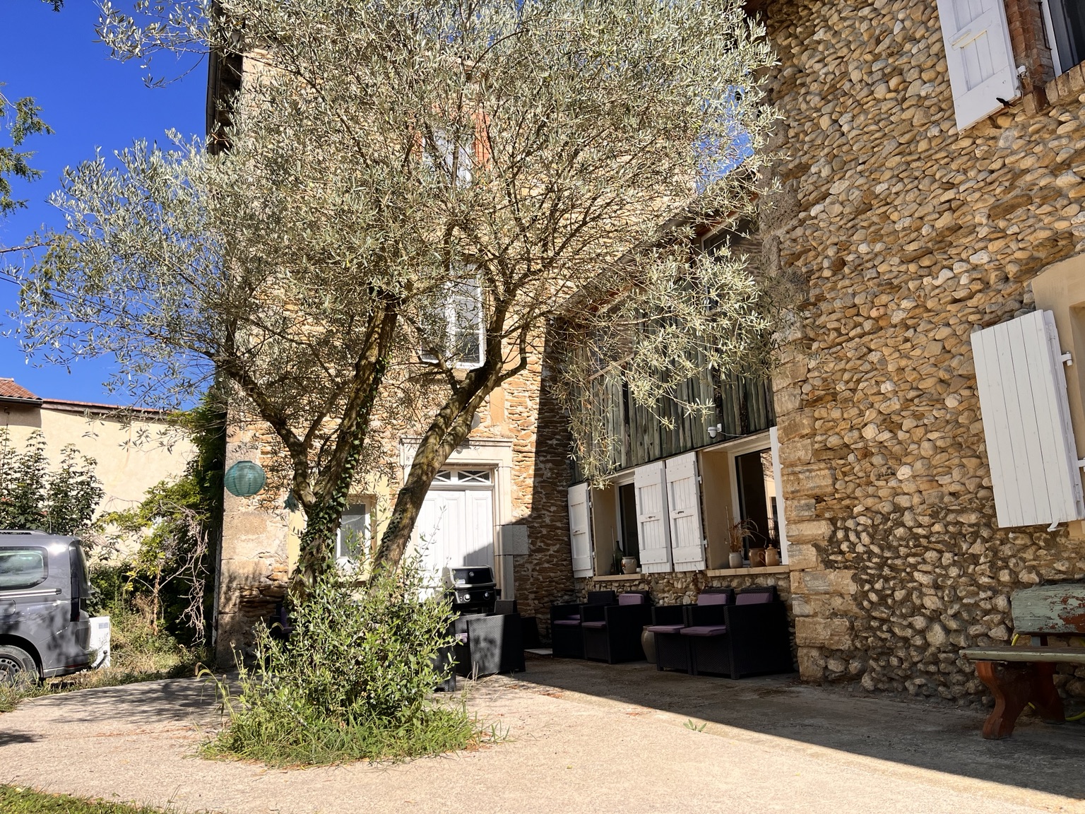 Cour en pierre et olivier de La Fenière Bleue