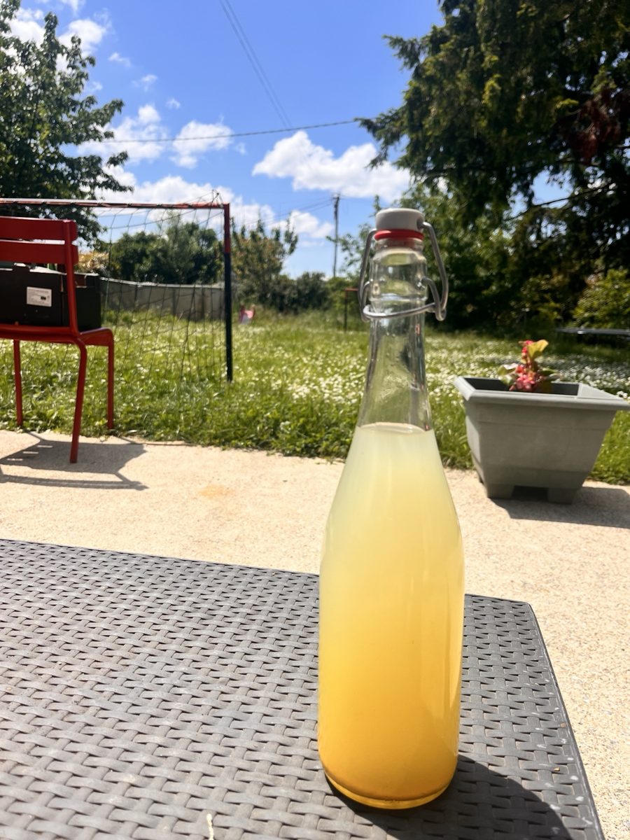 Terrasse et jardin ensoleillé